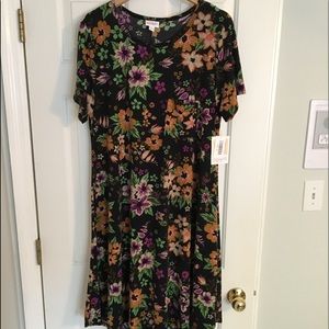 NWT LuLaRoe Carly Dress